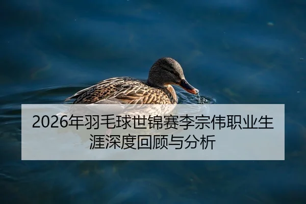 2026年羽毛球世锦赛李宗伟职业生涯深度回顾与分析