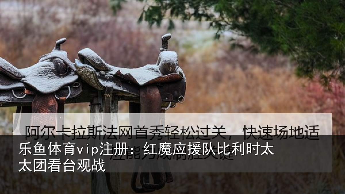 乐鱼体育vip注册：红魔应援队比利相关情况