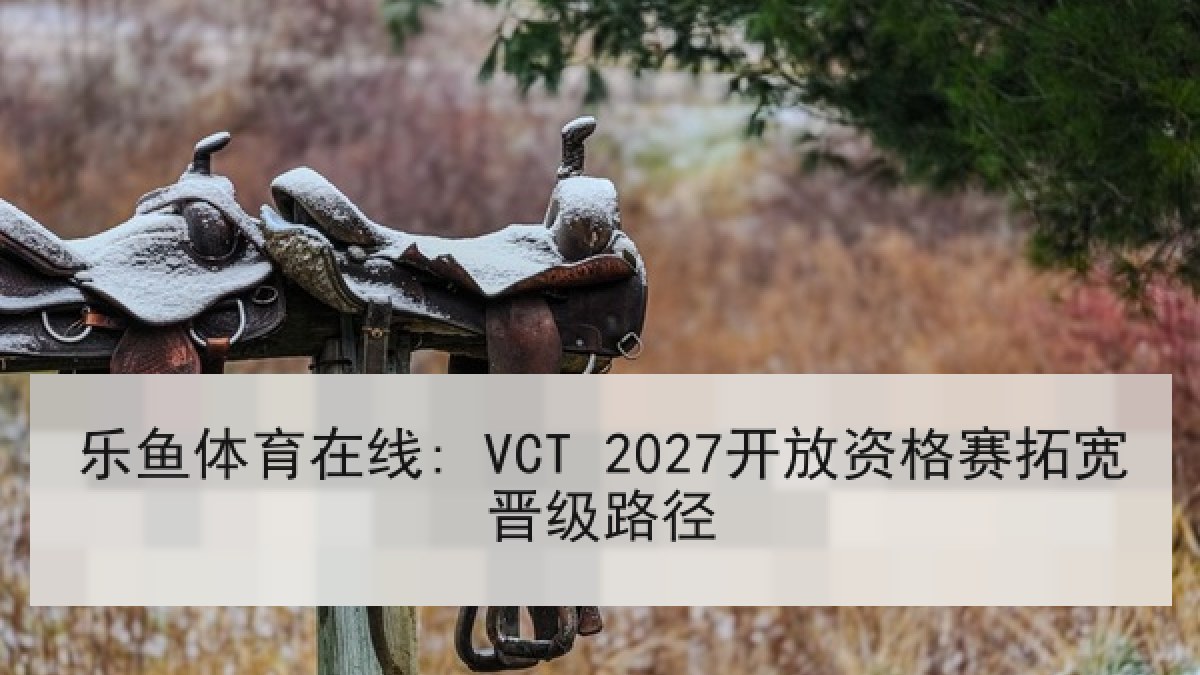 乐鱼体育在线: VCT 2027开放资格赛拓宽晋级路径